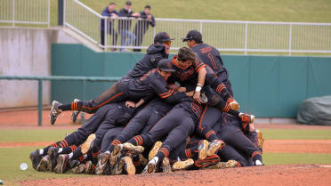 2016 NHSI