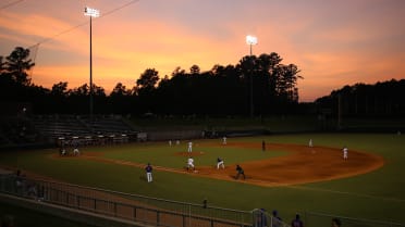 Fair or Foul: The Criteria for Respectful Bat Flips (Part II) - Last Word  On Baseball