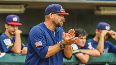 15u National Team Home Usa Baseball