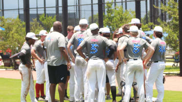 Rawlings Tigers Scout Day: Stat Release & Leaderboards