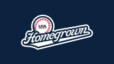 Minnesota Twins Experience Homegrown Mission