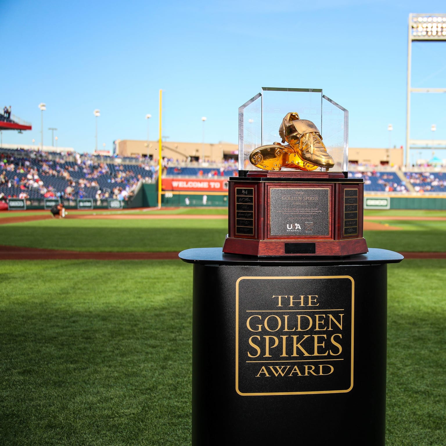 Golden Spikes Award About USA Baseball