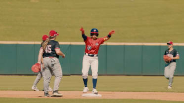 The WNTDP Experience 