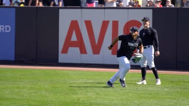 Prospect profile: Jasson Domínguez