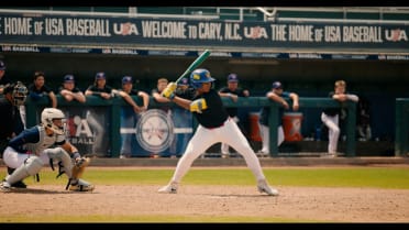 Inside the USA Baseball Task Force