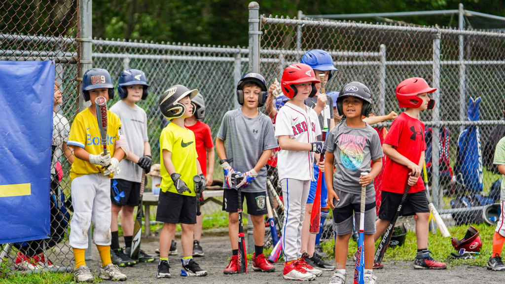 Sign up for Gatemen baseball clinics