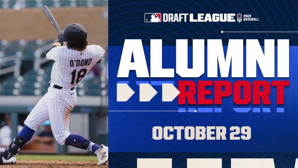 MLB Draft League Alumni Report