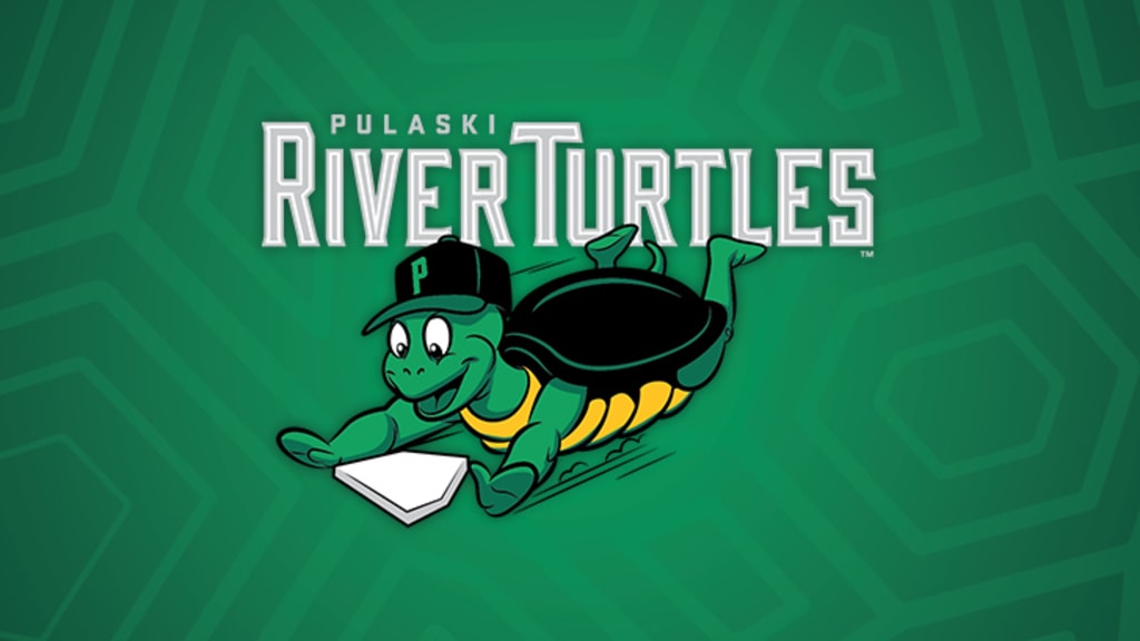 Connect with the River Turtles