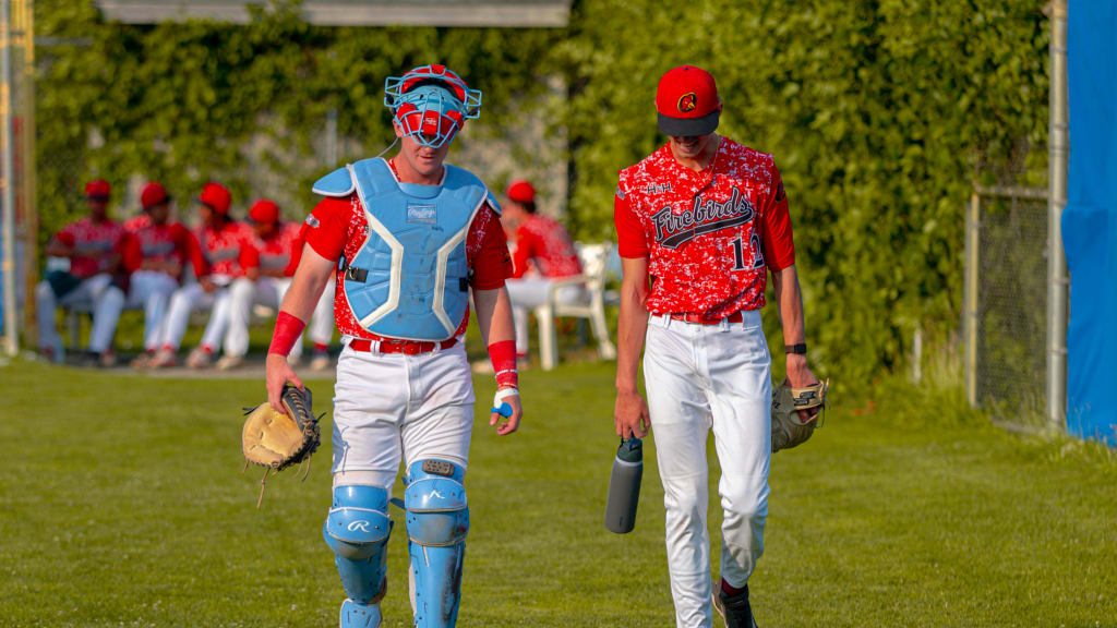 Birds rocked 6-2 by Gatemen in smoky Wareham