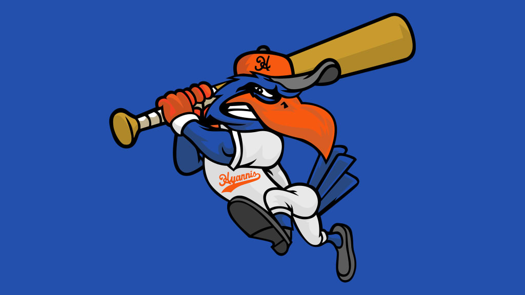 Harbor Hawks fall to Bourne in West Division Finals