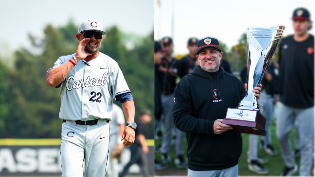 Different Dugouts, Same Pursuit