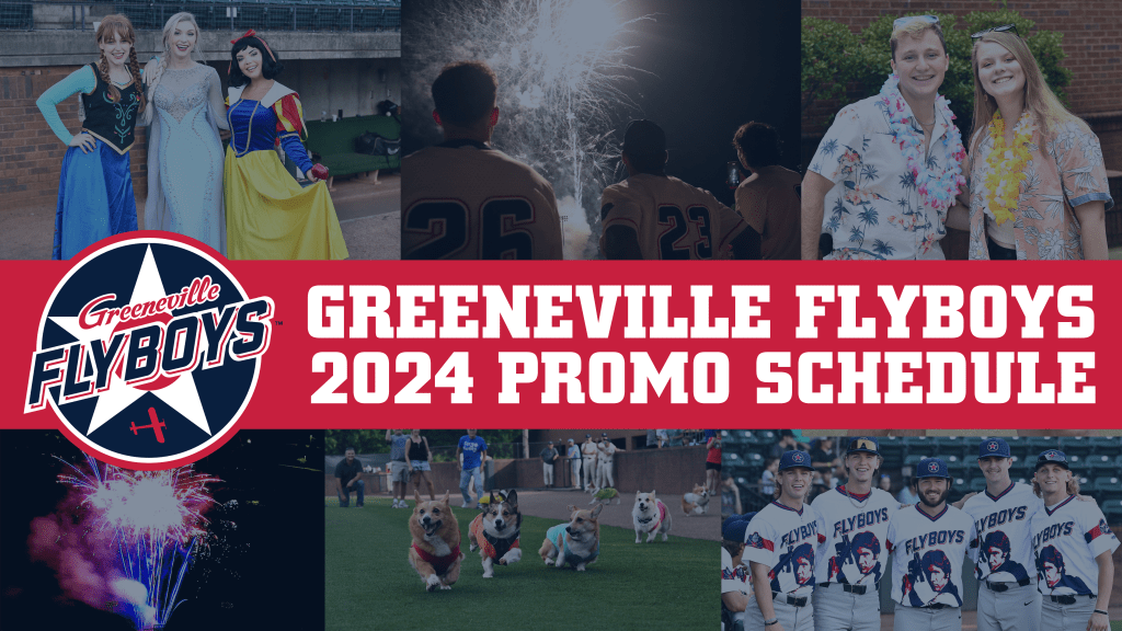 Greeneville Flyboys Appalachian League Greeneville Flyboys