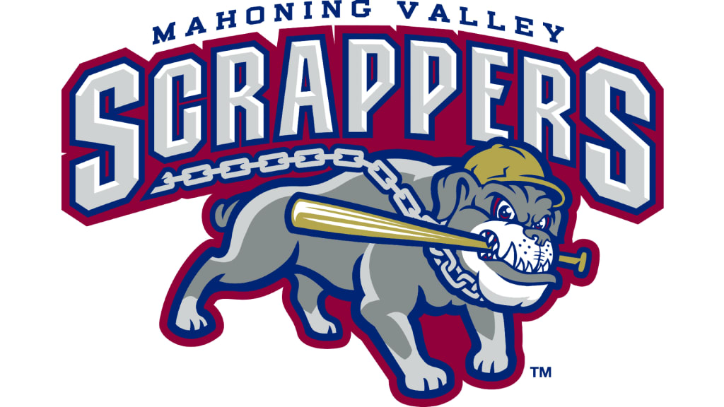 Mlb draft league teams mlb draft league