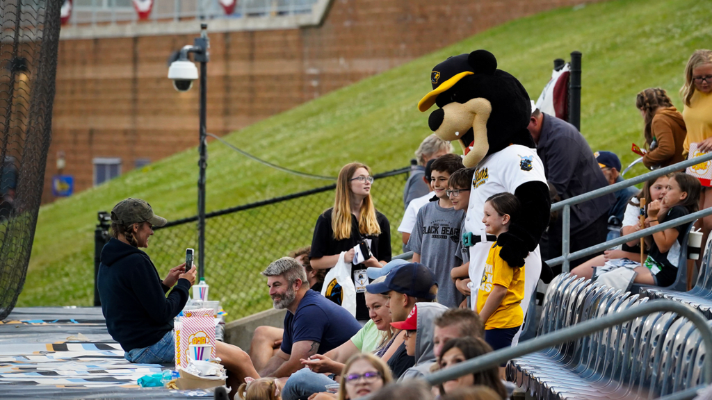 Group Packages | West Virginia Black Bears