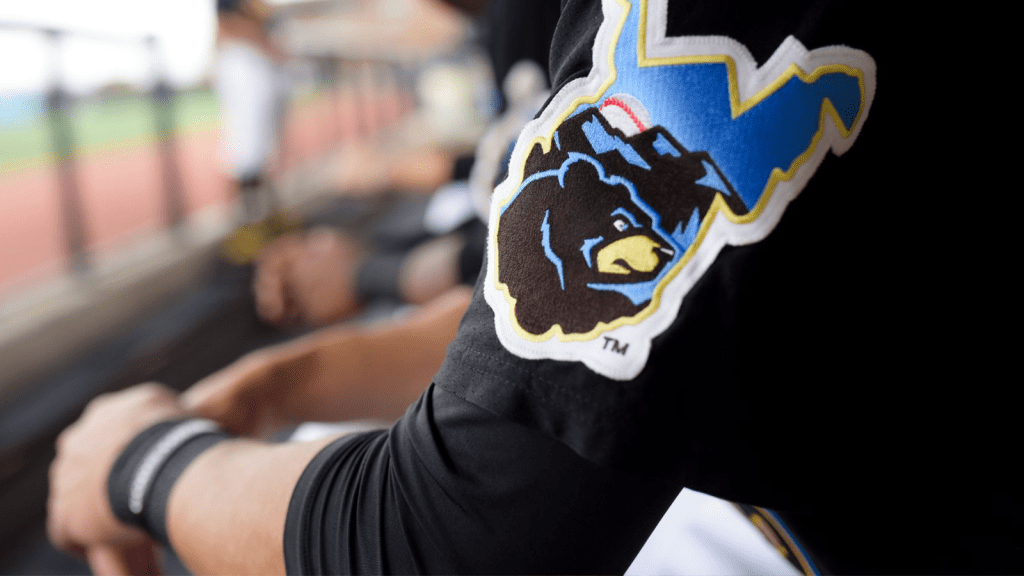 Kendrick Family Ballpark | West Virginia Black Bears