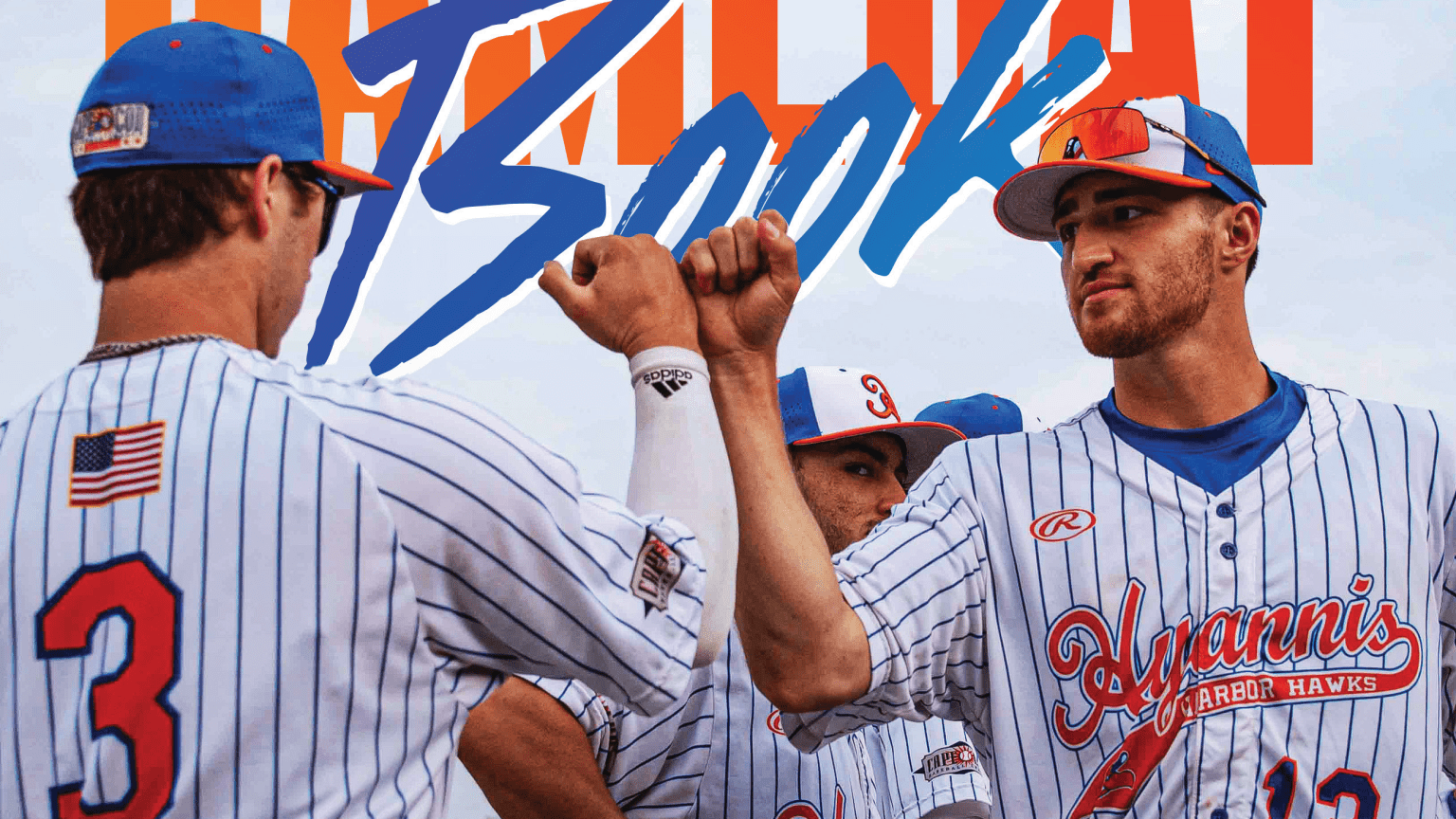 About | Hyannis Harbor Hawks