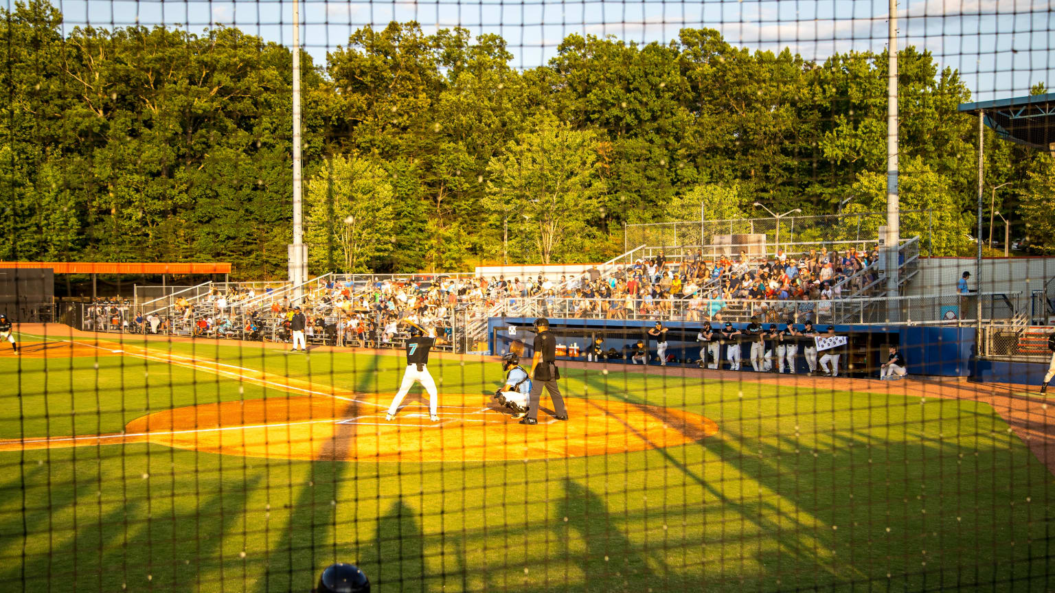 Ballpark and Directions Danville Otterbots