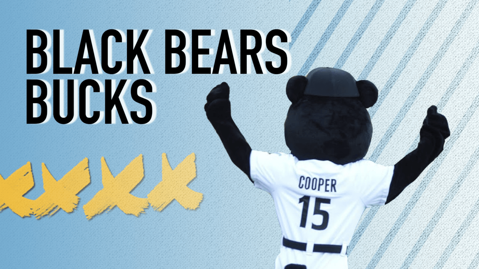 West Virginia Black Bear Ticket Options West Virginia Black Bears