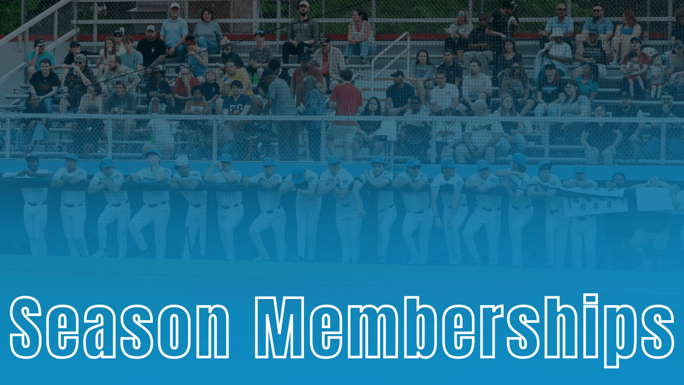 Danville Otterbots Season Memberships