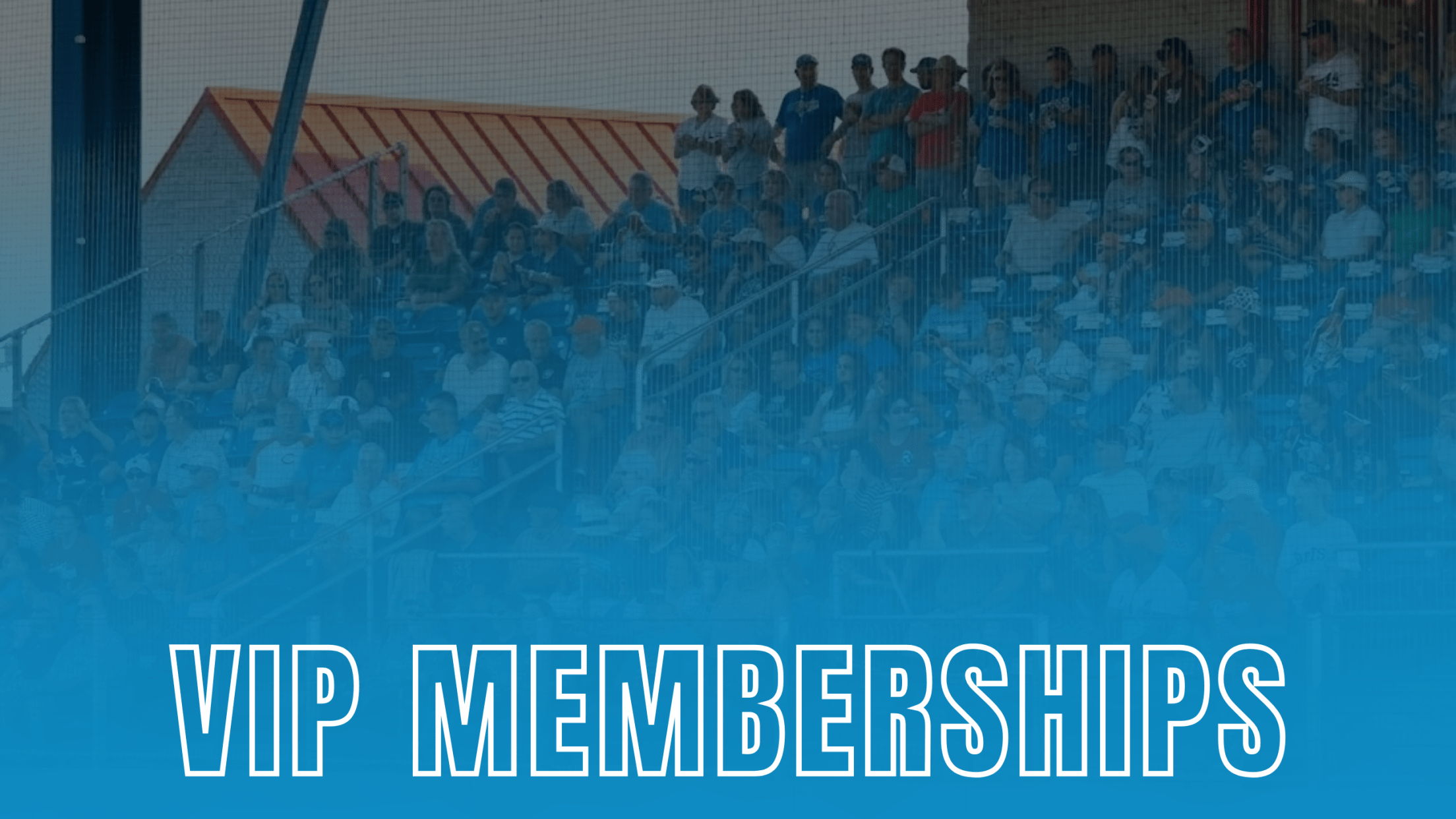 Danville Otterbots VIP Season Memberships
