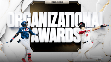 Org Awards - Media Wall 3