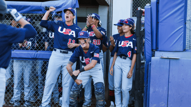 USA Baseball starts Women's National Team identification process - World  Baseball Softball Confederation 