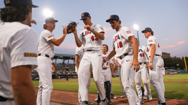 Rebel Trio Chosen for USA Baseball Collegiate National Team - Ole