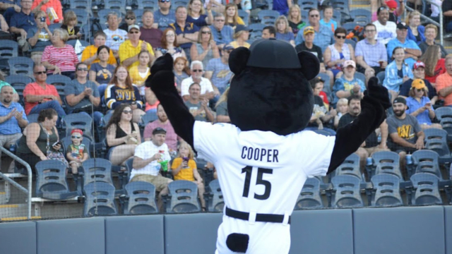 2022 MLB Draft League Championship Game | West Virginia Black Bears