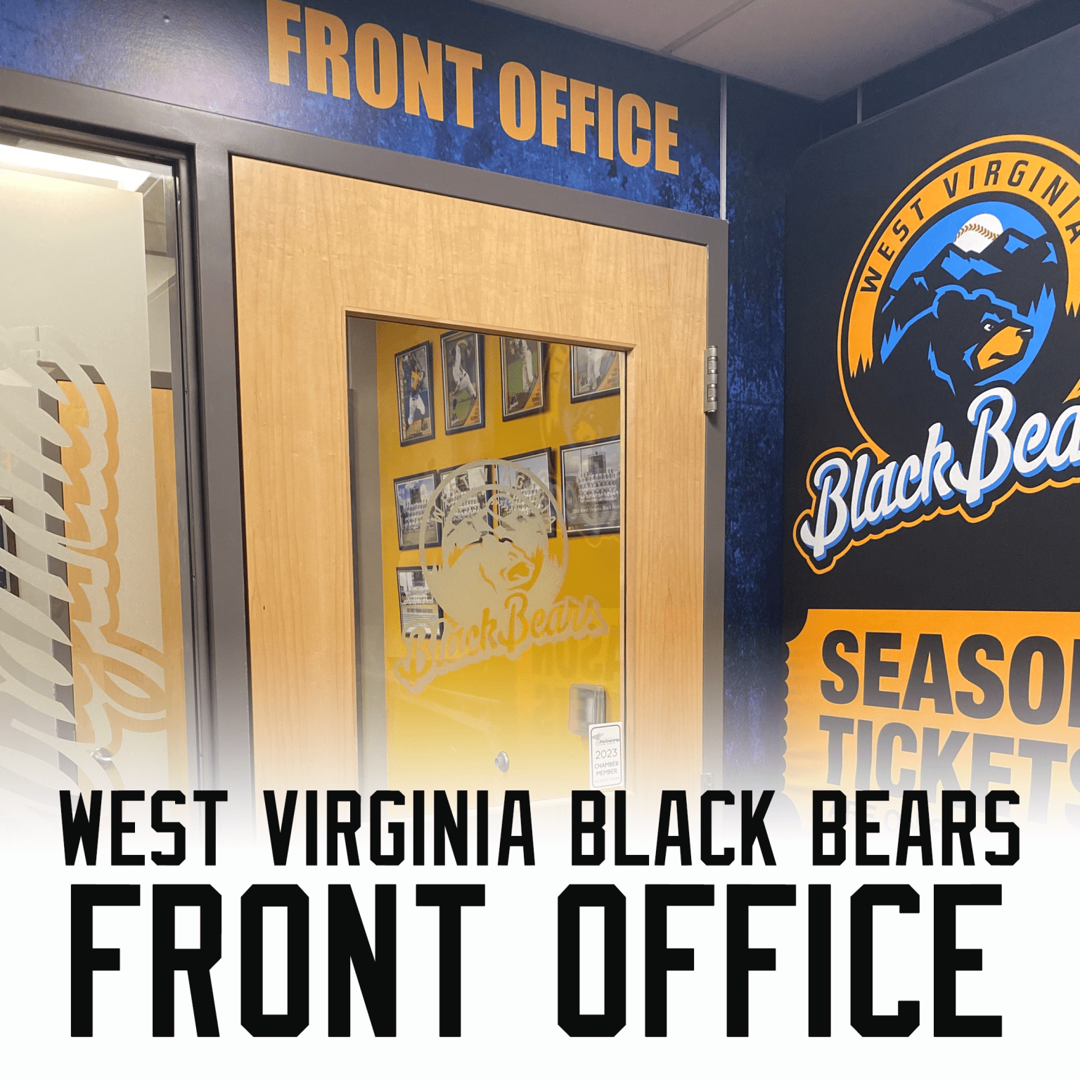 Black Bears Contact Information | West Virginia Black Bears