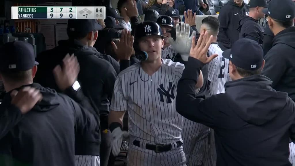 GIF: Yankees Fan Is Here for Our Amusement