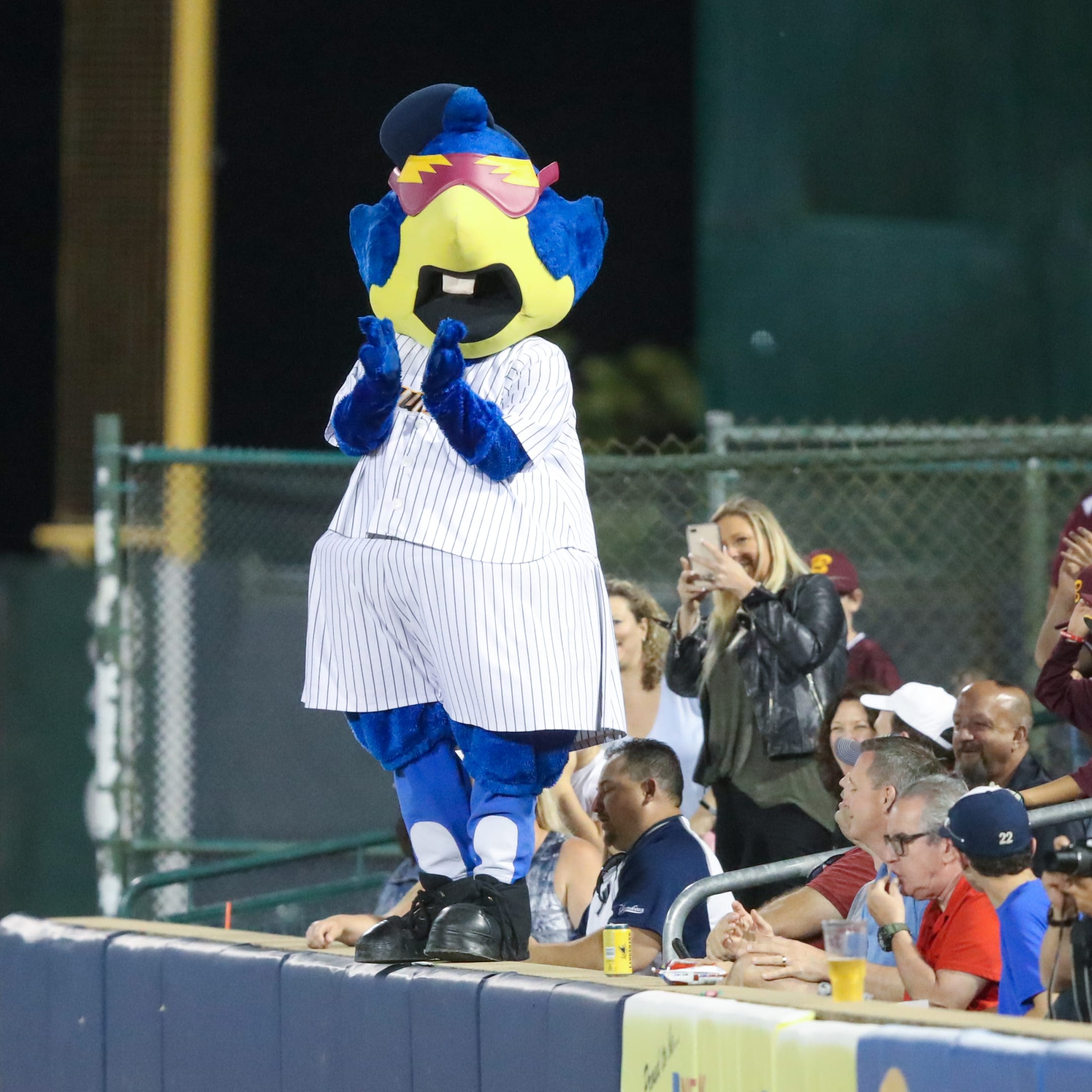 Boomer the Thunderbird - Trenton Thunder Mascot | Trenton Thunder